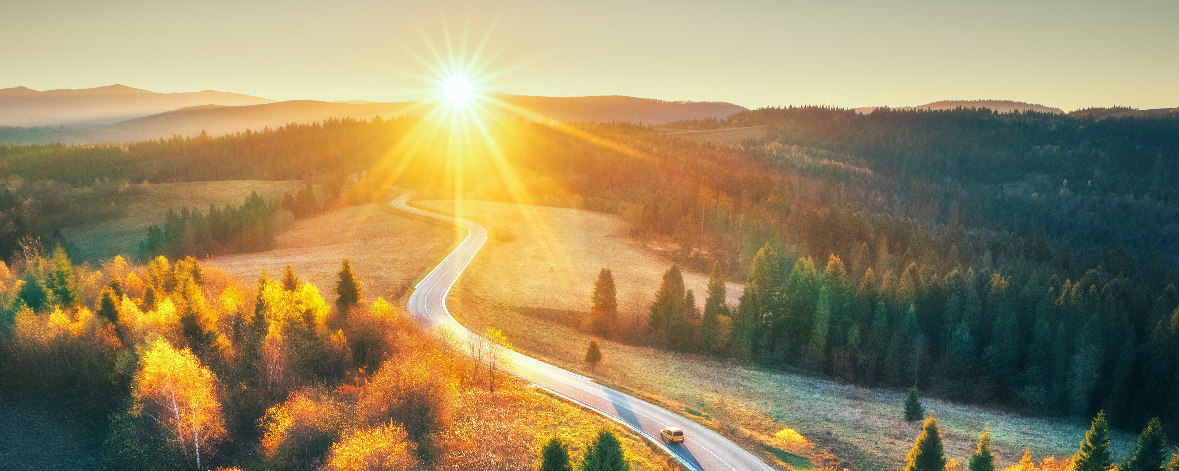 Car driving on road in wooded area at sunrise